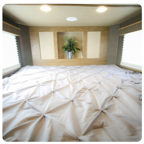 A bedroom with a bed and a plant on the wall