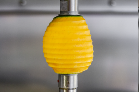 AP15 Industrial Fruit Peeler & Corer for Butternut Squash