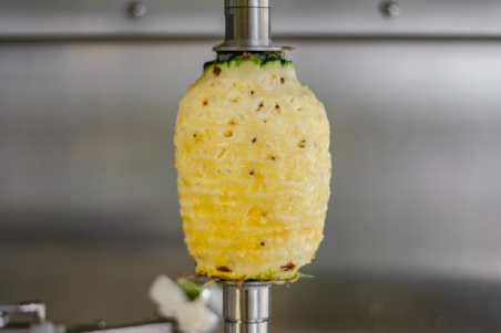 Peeling Butternut Squash using Pre-Pack Machinery's commercial fruit peeler  