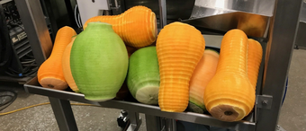 Peeling Butternut Squash using Pre-Pack Machinery's commercial fruit peeler  