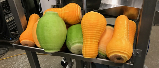 peeled melons