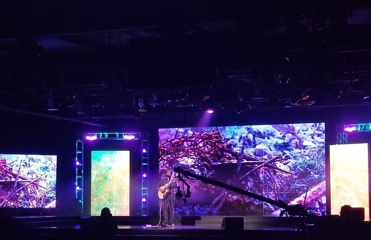 Singer on stage with guitar, performing in front of video screens displaying colorful jungle imagery. Purple and blue stage lighting.