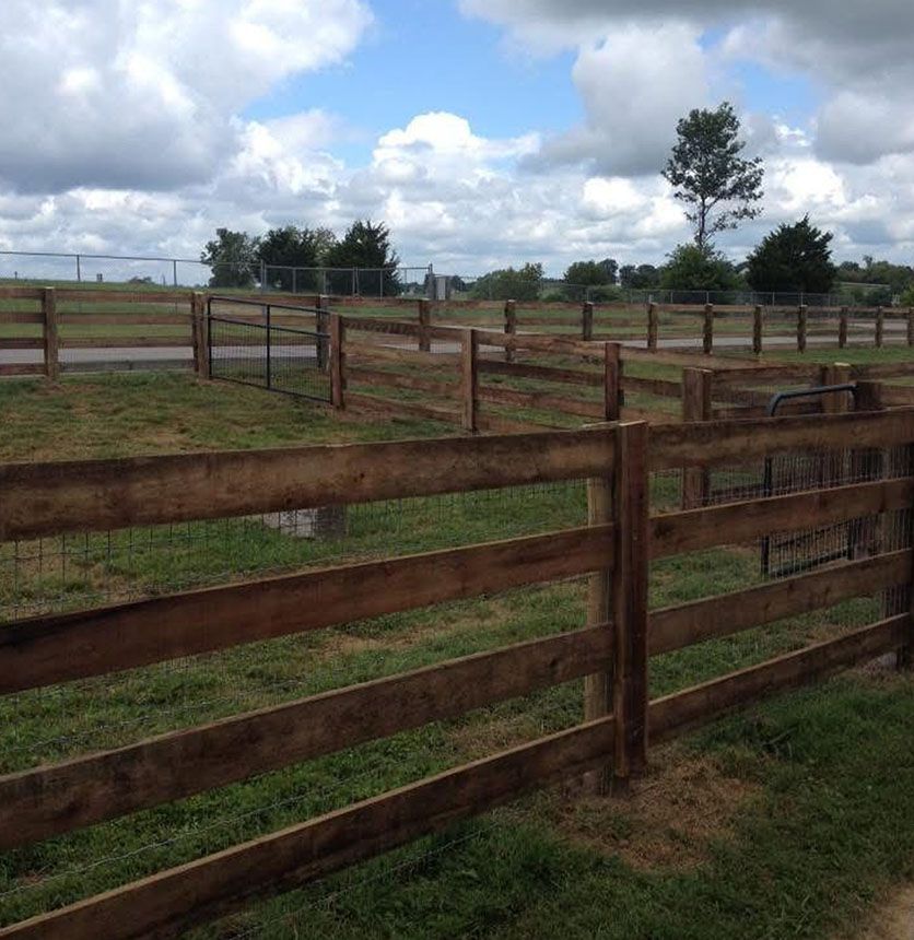 Rustic wooden fenced paddock under a cloudy sky, with grassy fields and a lone tree in the distance