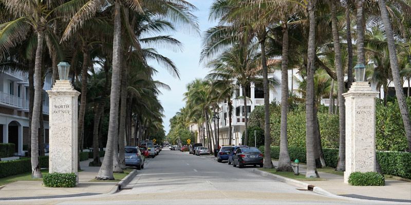 A row of palm trees along a street with cars parked on the side of the road.