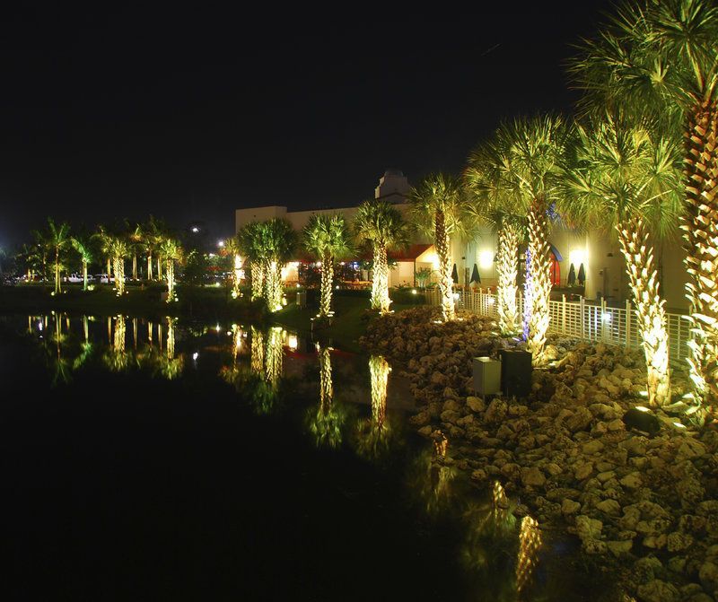 A row of palm trees are lit up at night near a body of water