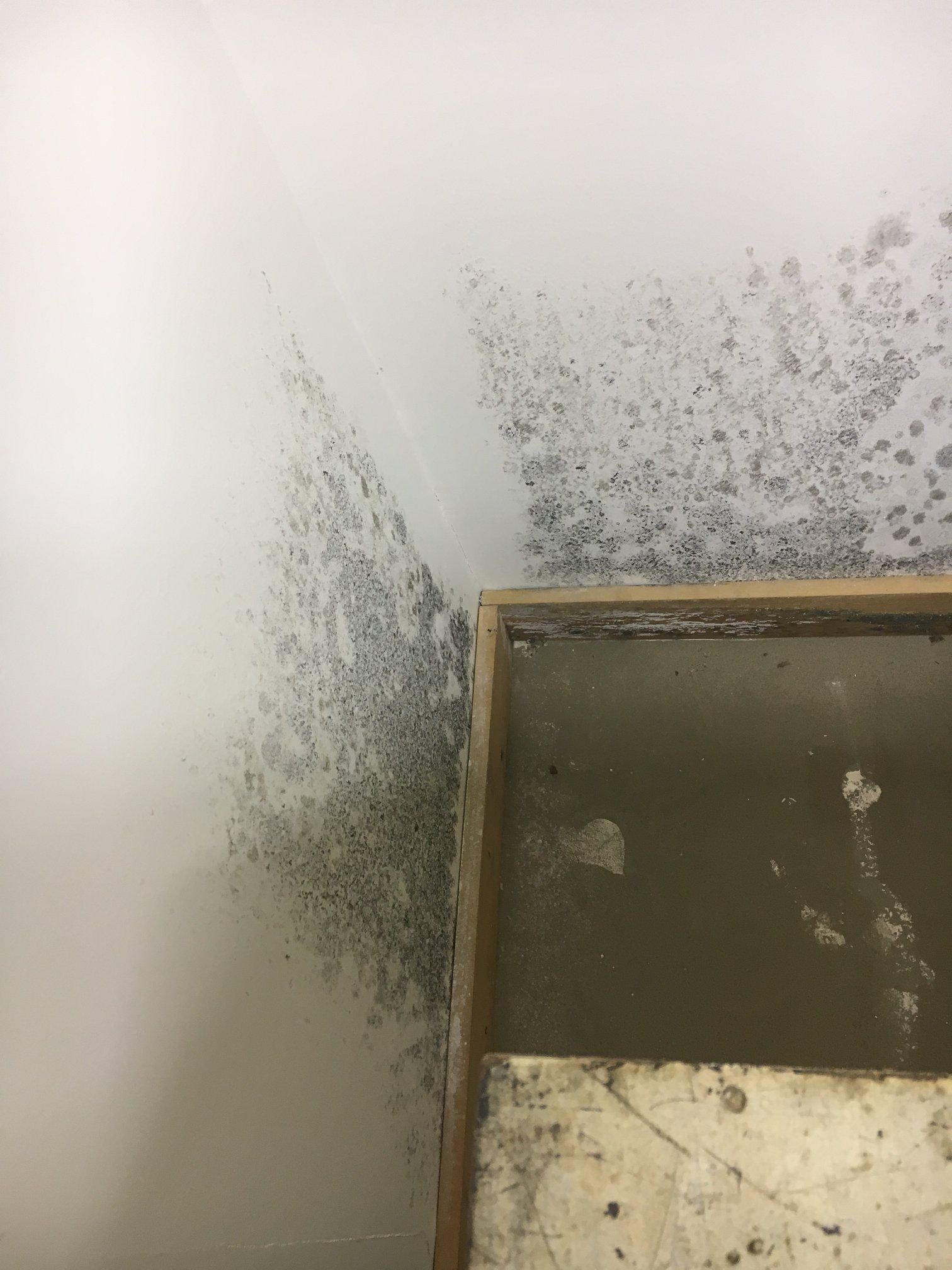 TechEast Fire & Water Restoration Inc. image