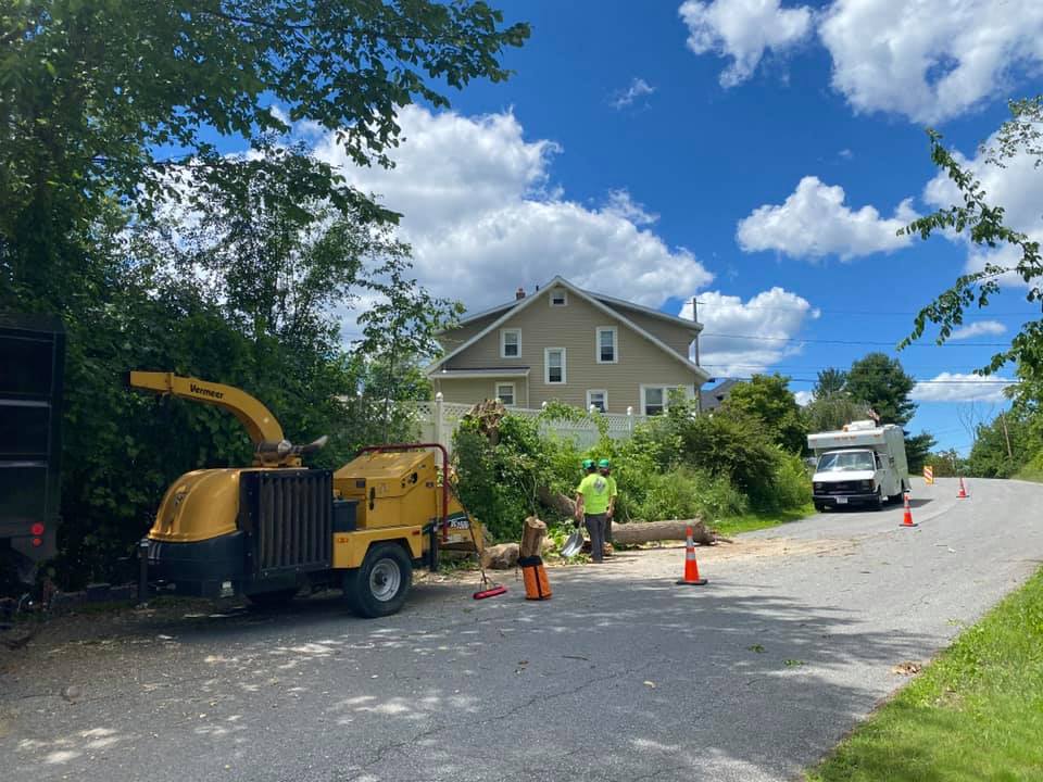 StormDamage restoration