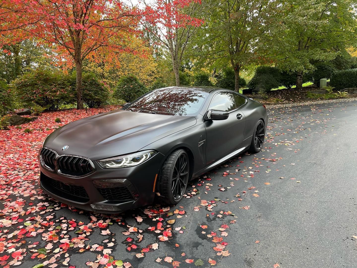Dark gray BMW M8 coupe parked on asphalt with fall foliage.
