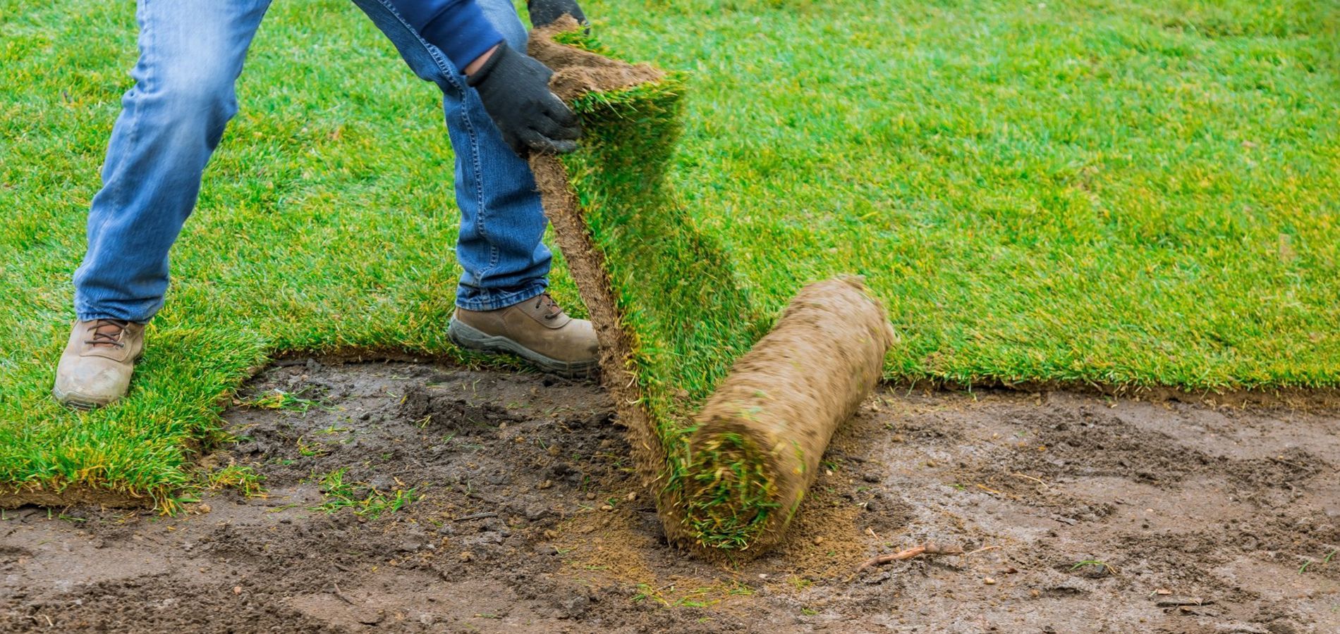 Sod installation