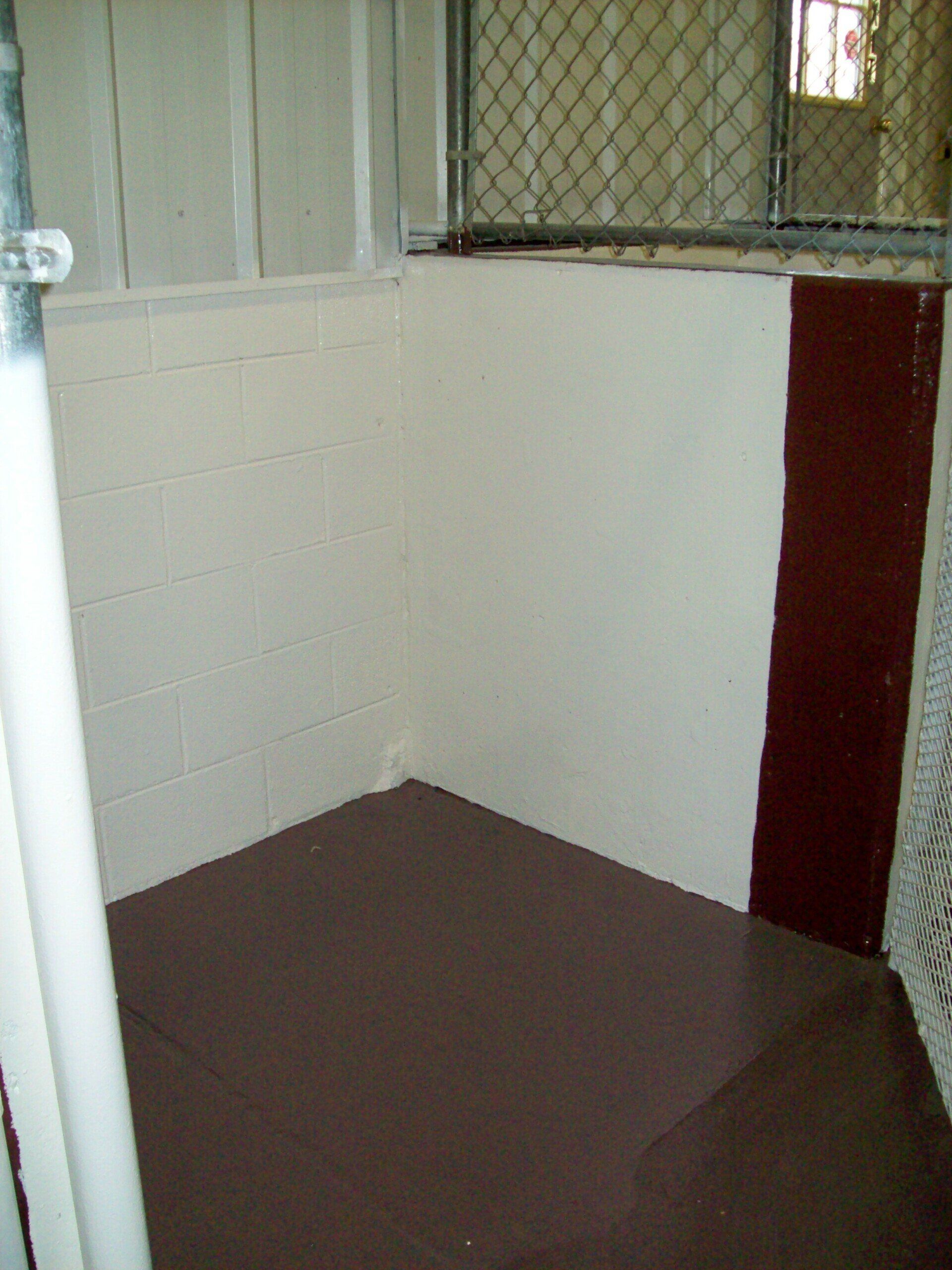 Cute & Curly kennels