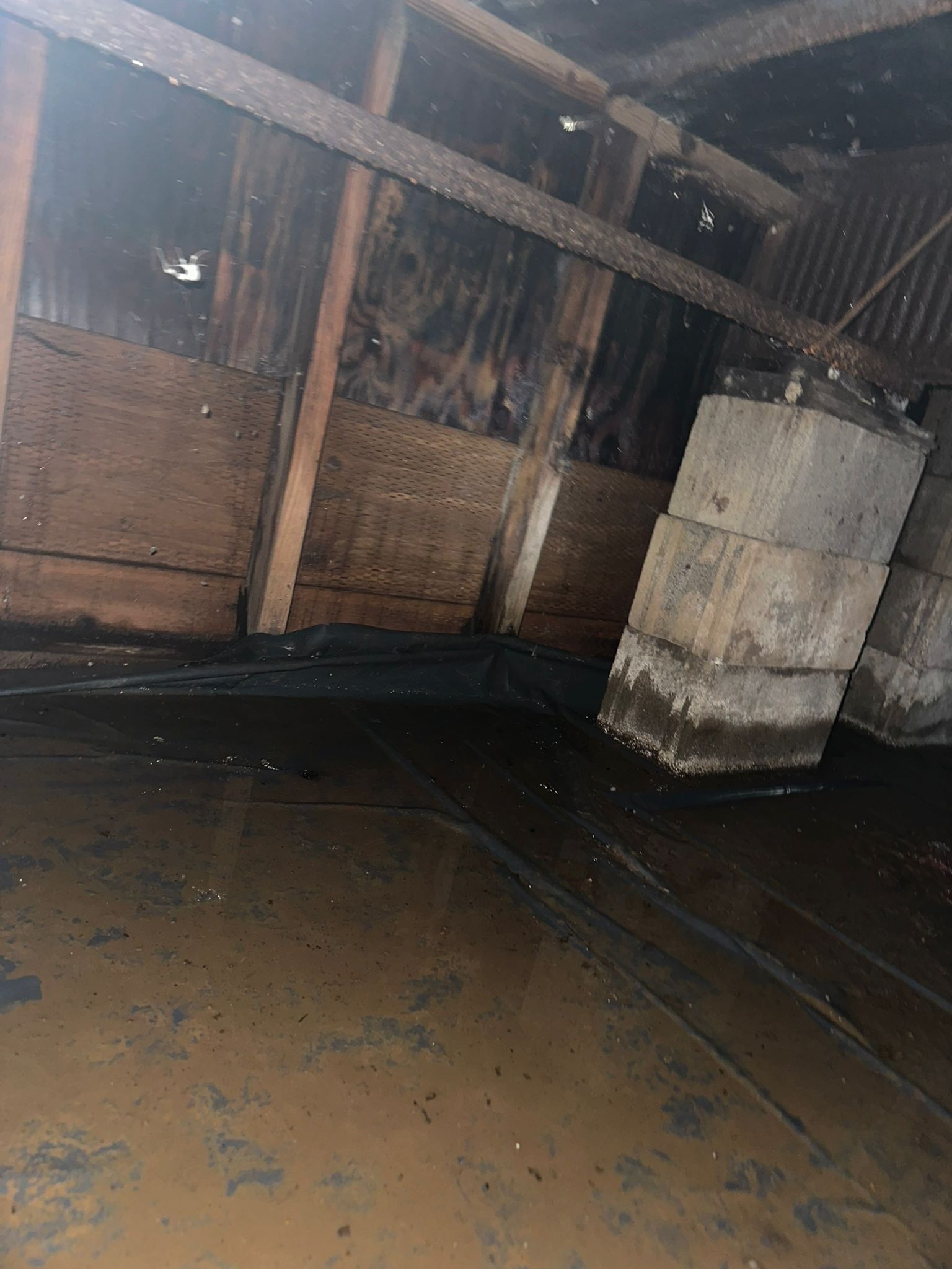 A basement with significant water damage