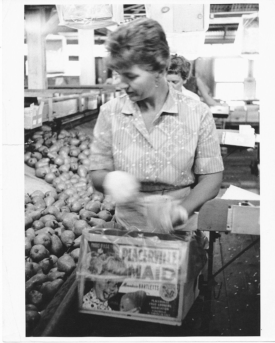 Placerville Fruit Growers Inc. Orchard and Vineyard Supplies