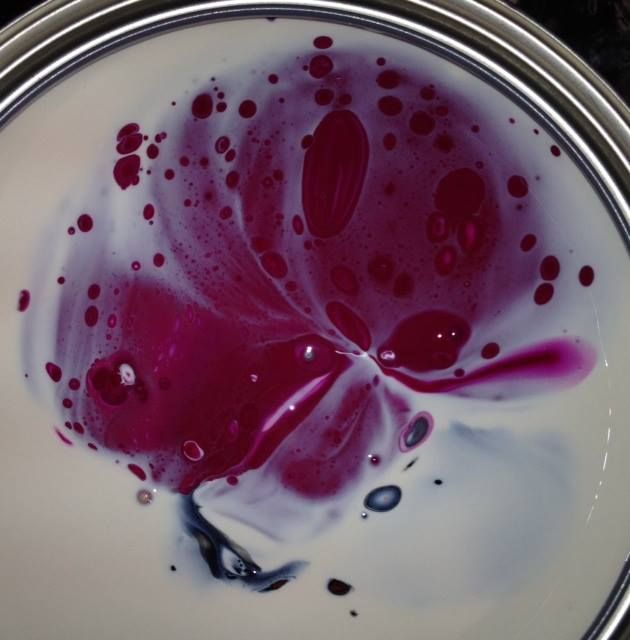 A close up of a purple flower on a white surface