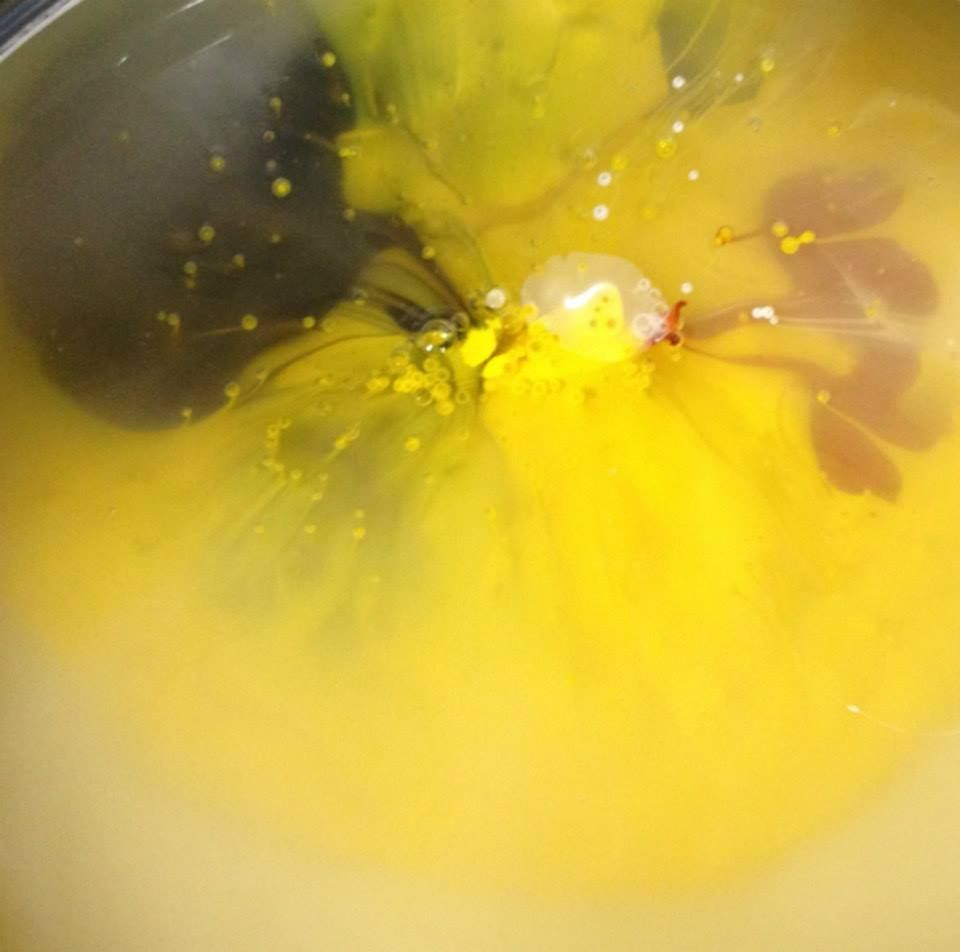 A close up of a yellow flower in a bowl of liquid.