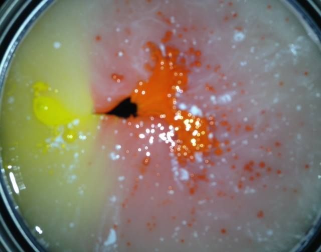 A close up of a bowl of food with a hole in the middle