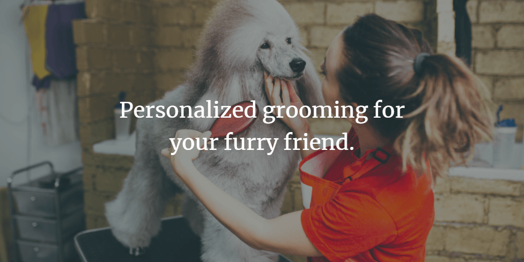 Animal Ark - grooming
