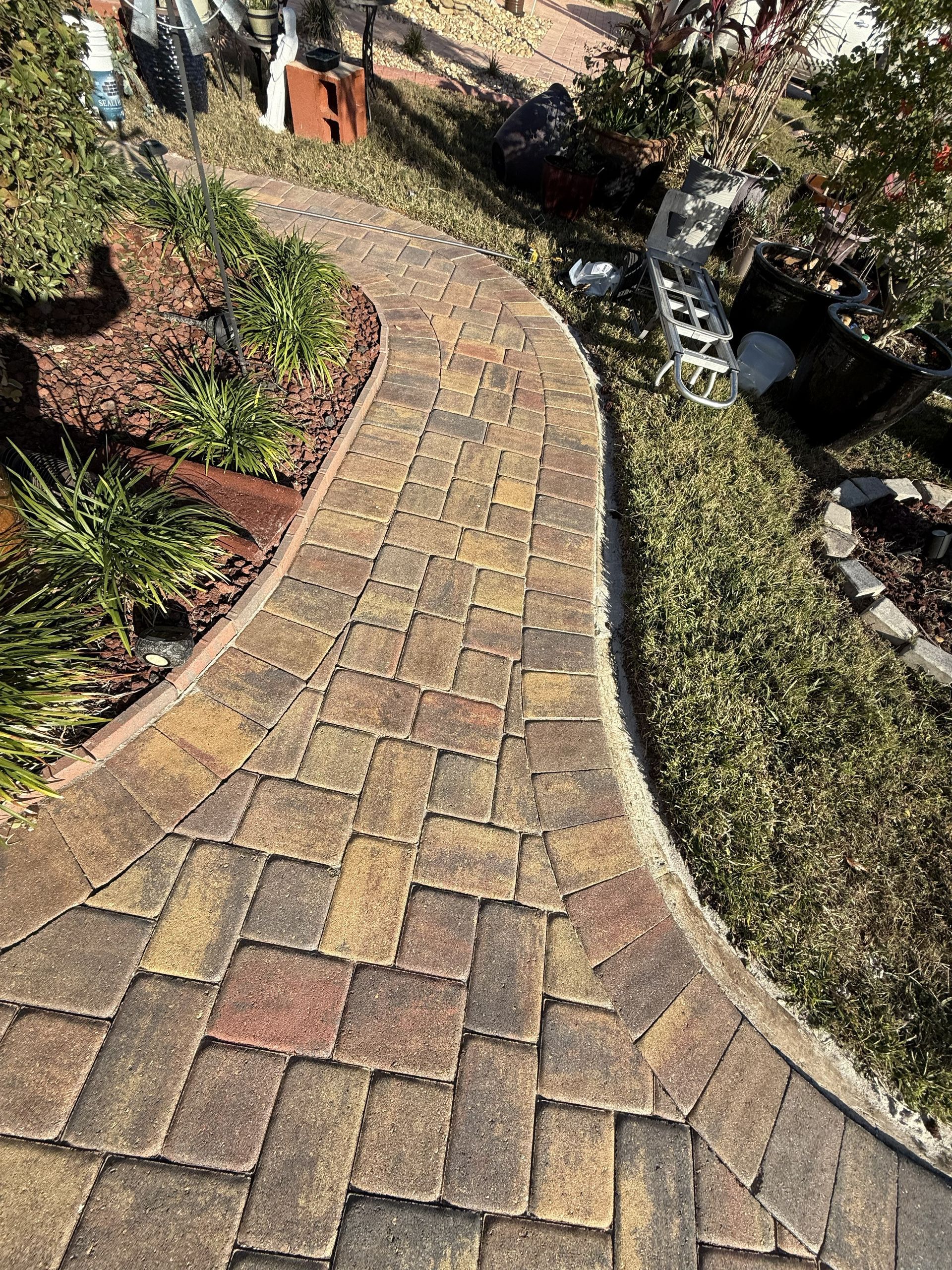Curved brick garden path bordered by plants and a black cat in sunlight