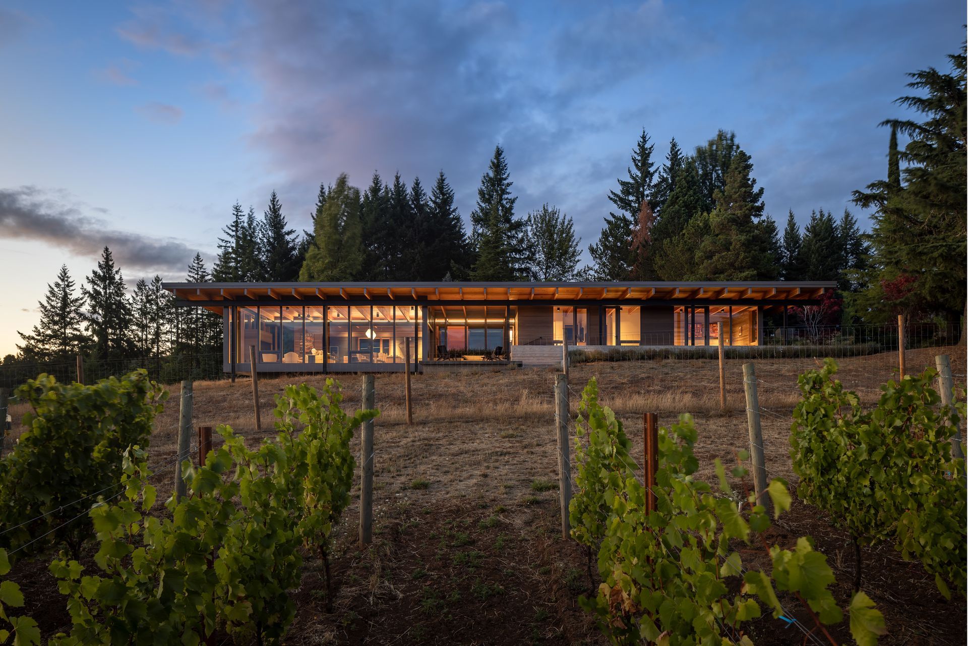 A house is sitting on top of a hill next to a vineyard.
