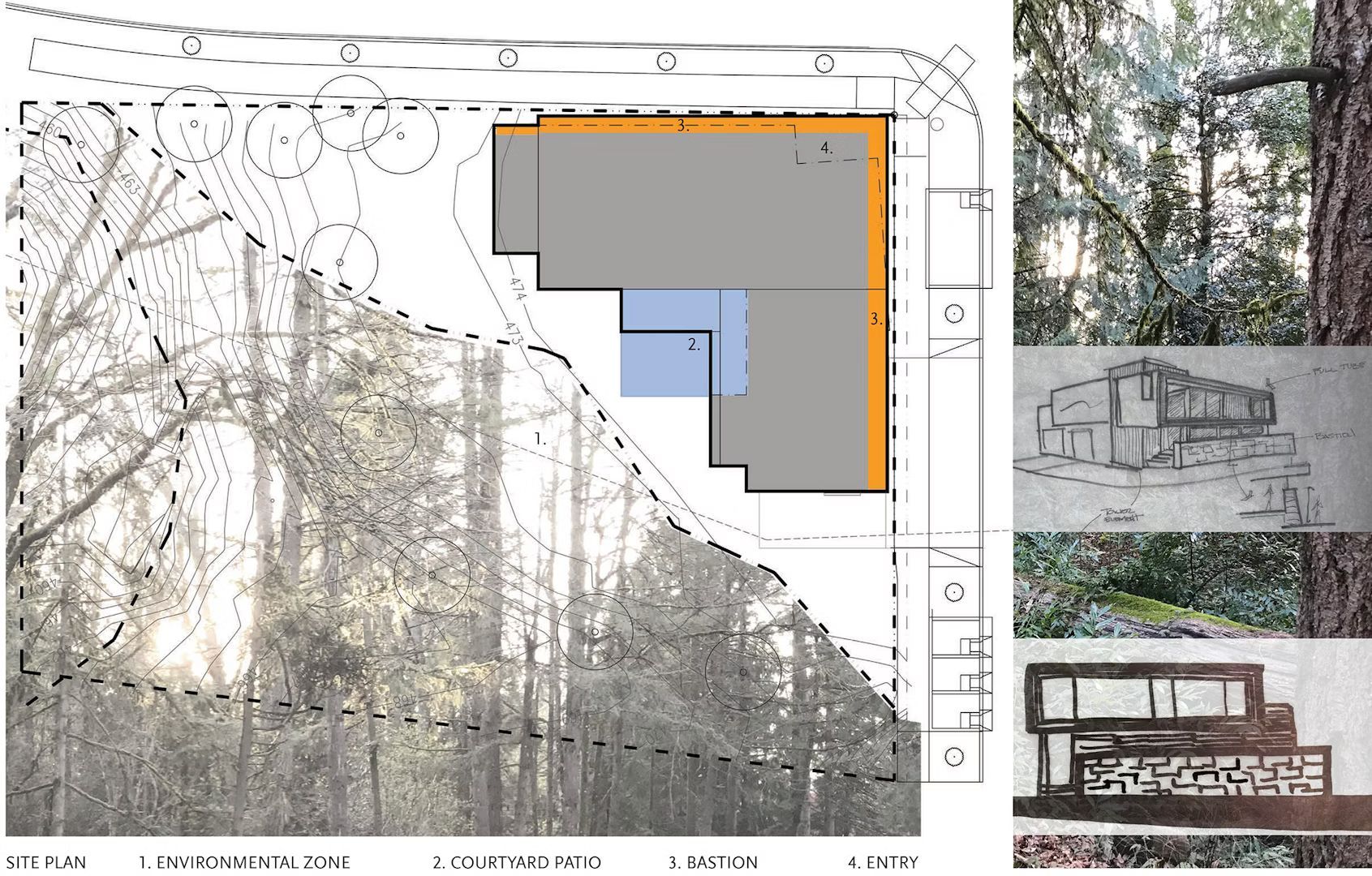 A drawing of a house in the middle of a forest.