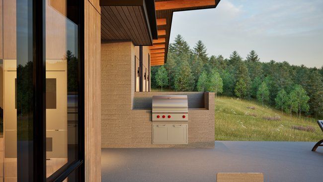 A rendering of a house with a grill and a view of a forest.
