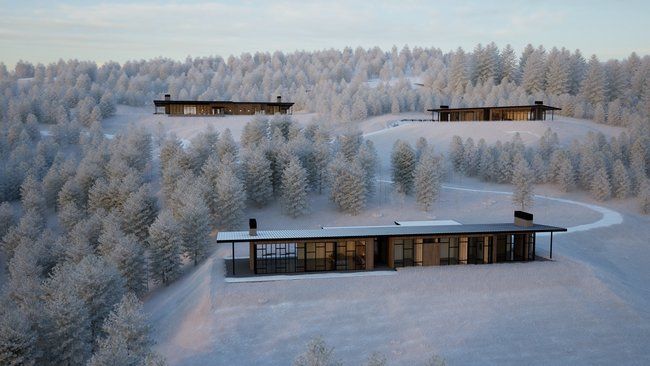 An aerial view of a house in the middle of a snowy forest.