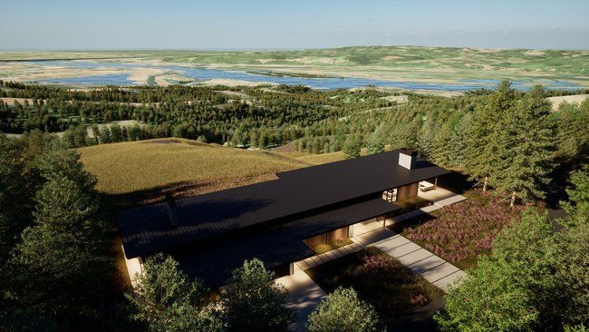 An aerial view of a house surrounded by trees and a lake.
