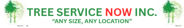 Logo for Tree Service Now Inc. with green tree graphics and red "Now" text.