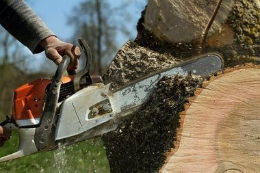 Person using a chainsaw to cut a tree trunk; wood shavings and sawdust are flying.
