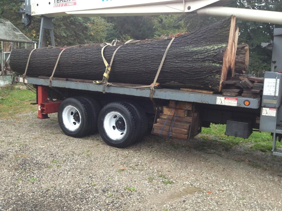 Large log secured on a flatbed truck, likely for transport, with white wheels and a red frame.