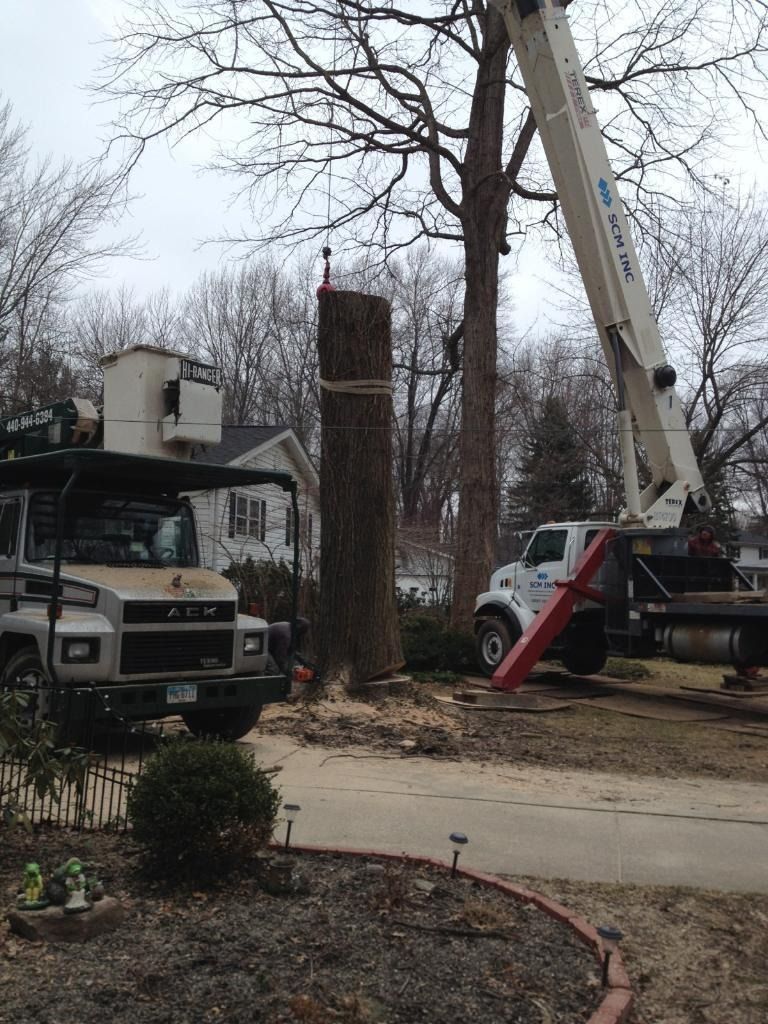 Tree removal: Tree trunk with crane and truck in residential area, overcast sky.
