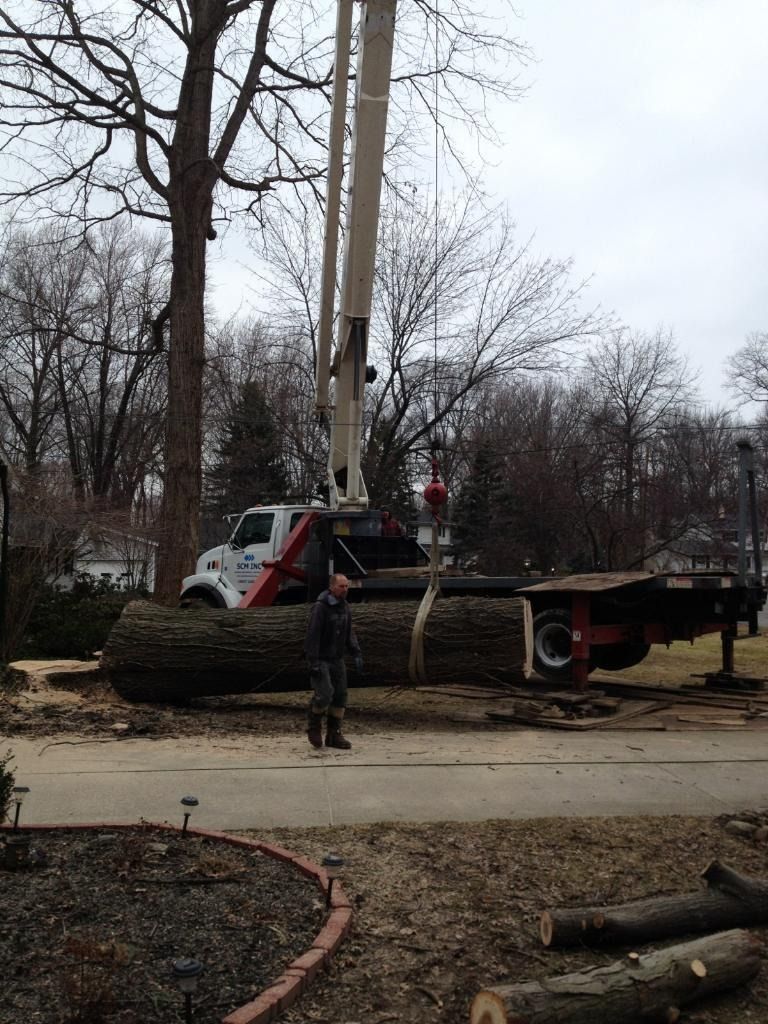 A tree trunk being lifted by a crane on a truck, with a person standing nearby.