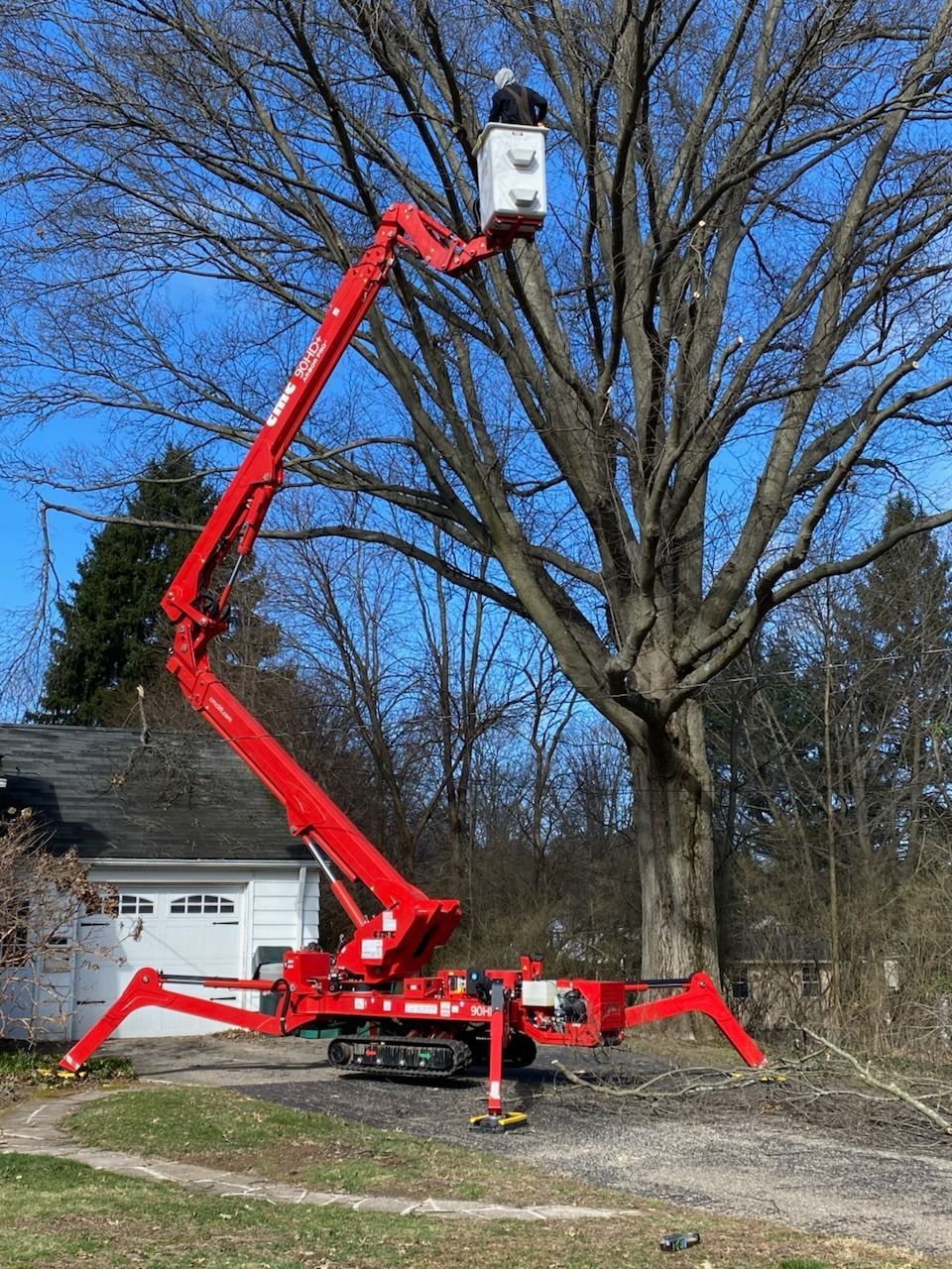 Red tree lift with person in bucket trimming branches of a tall tree.