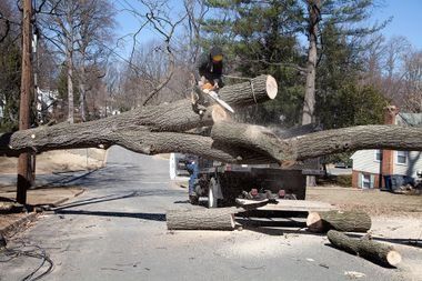 A worker with a chainsaw cuts tree branches blocking a road, using a small front-end loader to catch the wood.