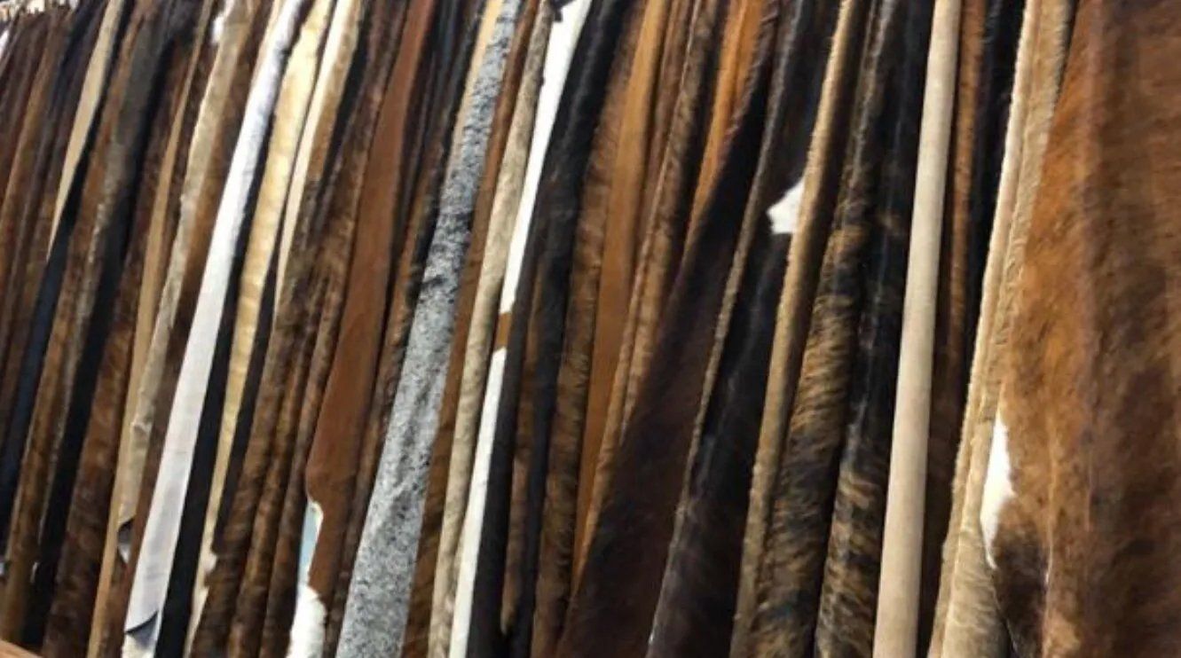 Hides & Skins Inc Cowhides San Antonio, TX