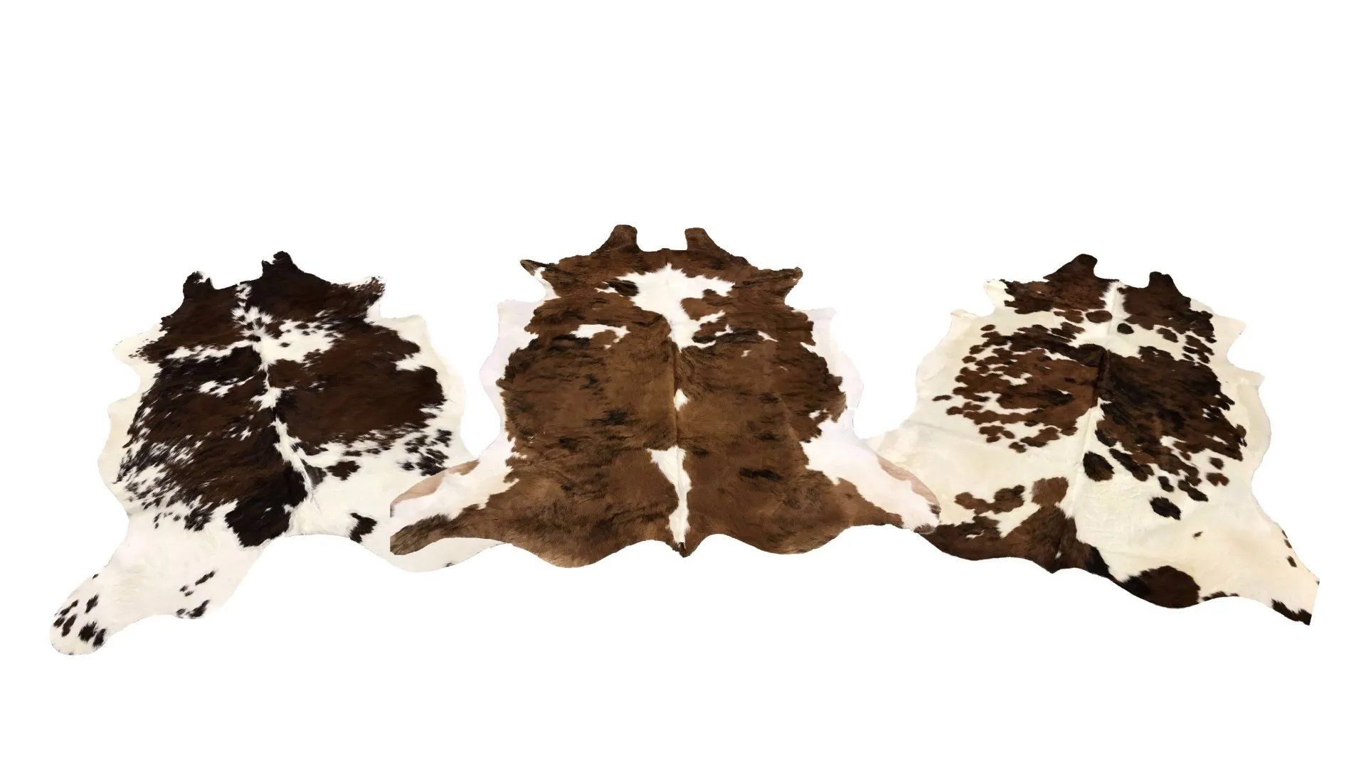 Hides & Skins Inc Cowhides San Antonio, TX