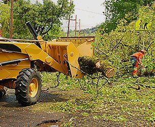 Land clearing services