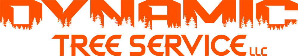 Dynamic Tree Service - Logo
