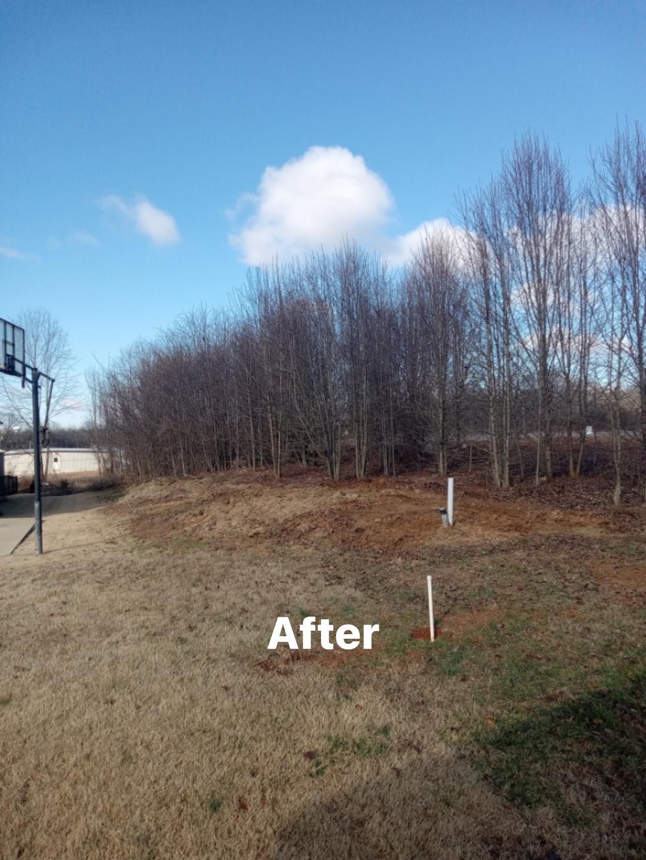 a basketball hoop is in the middle of a field with trees in the background