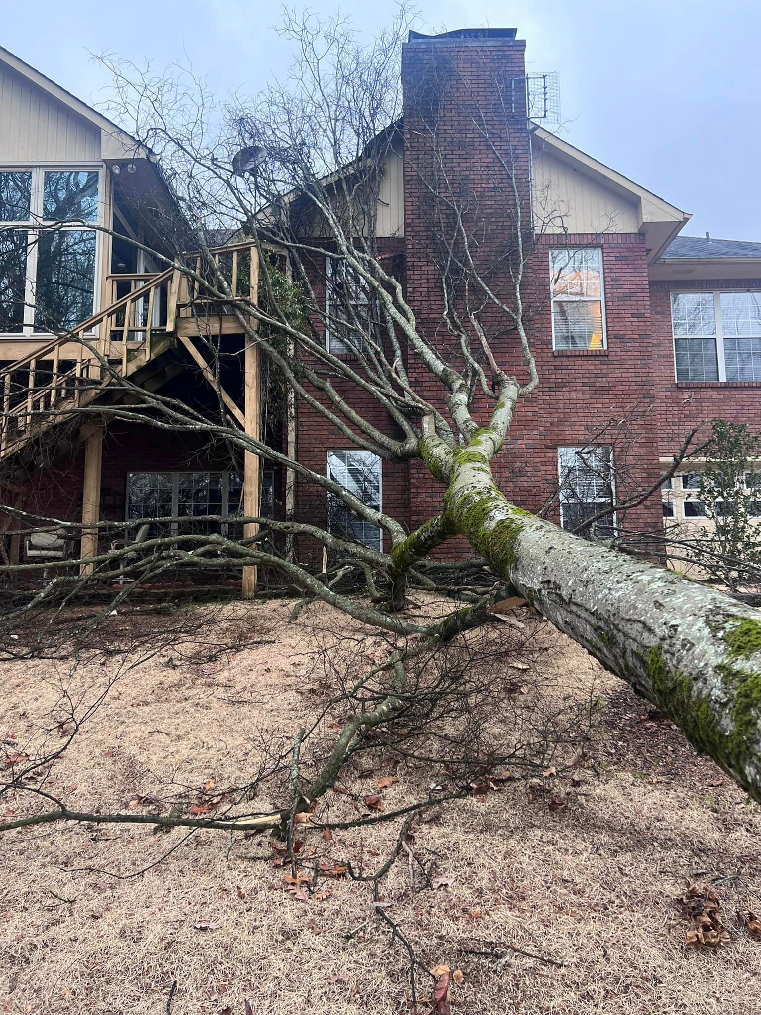 a tree has fallen in front of a brick house