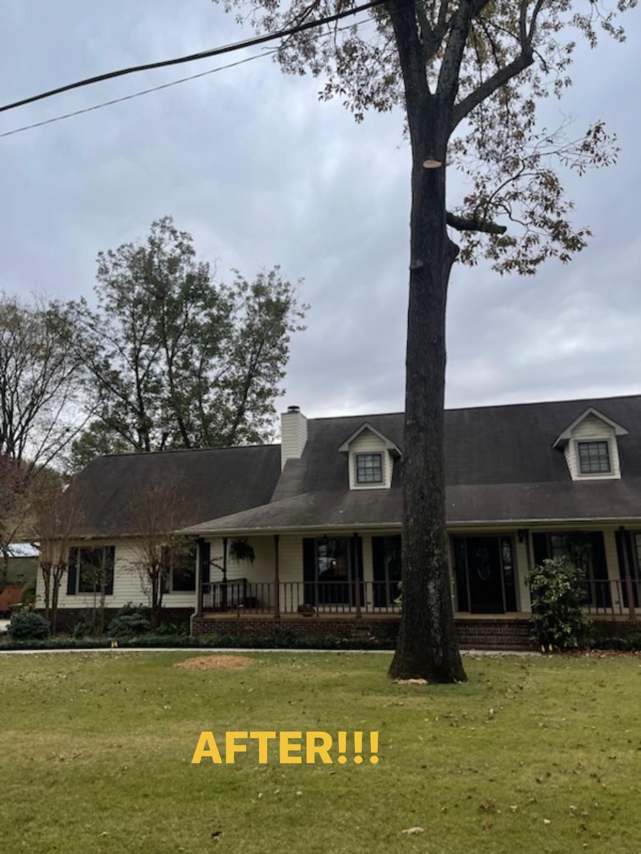 a picture of a house with a tree in front of it