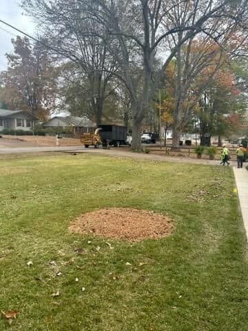 a truck is parked in the grass next to a tree