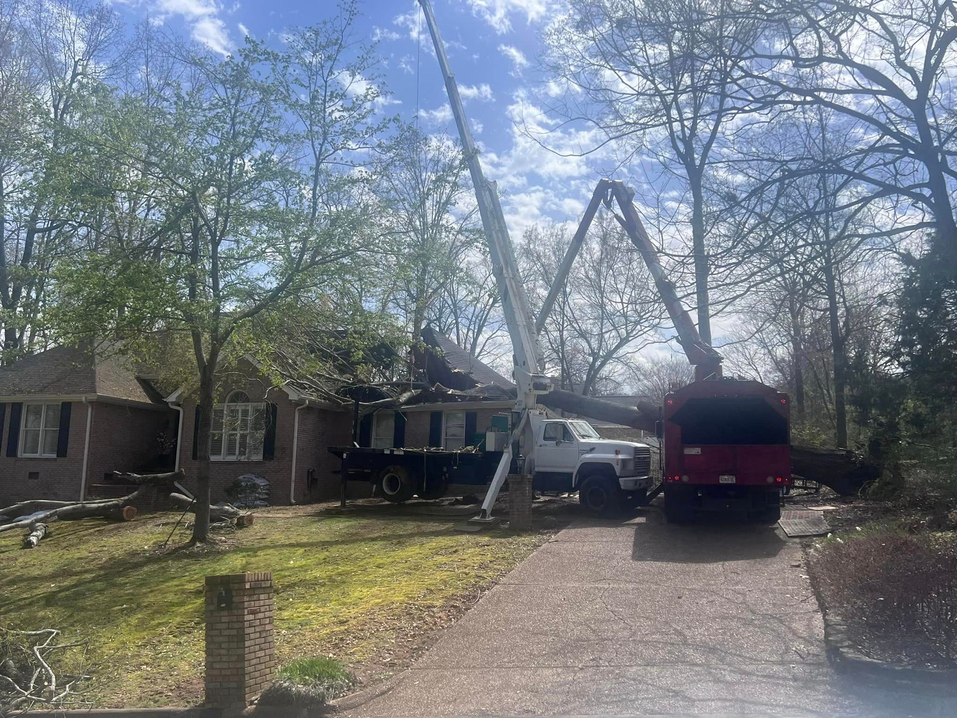 a crane is lifting a tree in front of a house