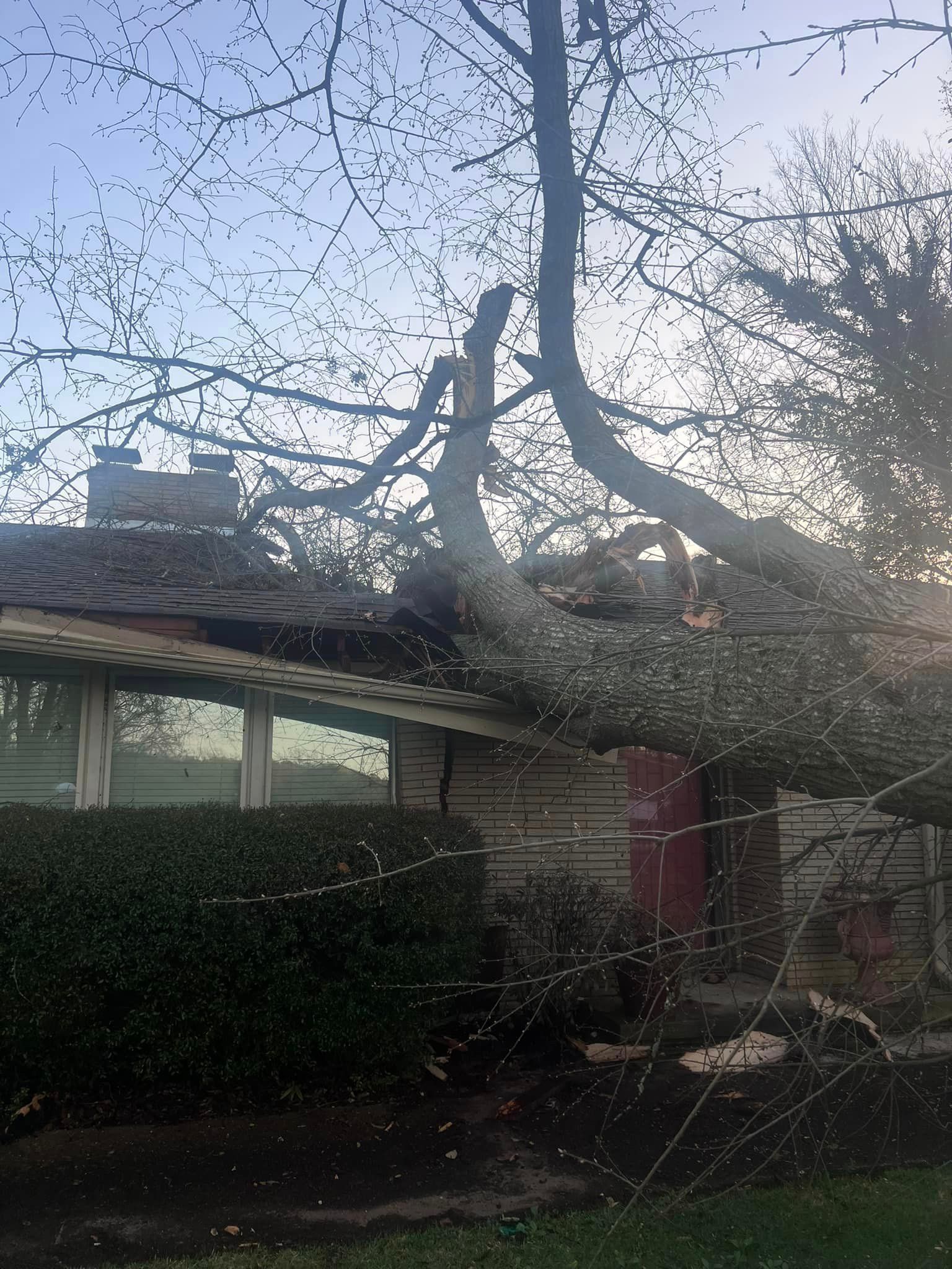a tree has fallen on the roof of a house