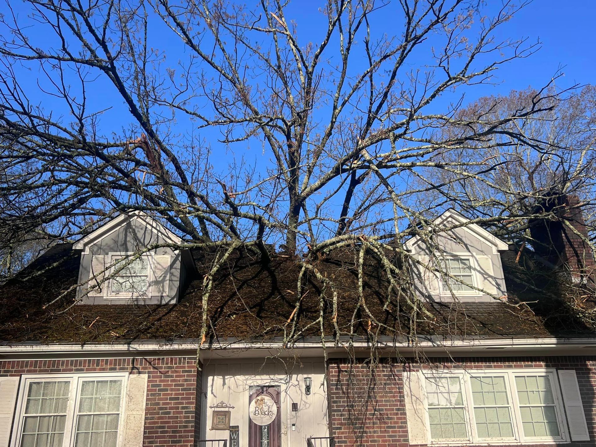 a tree is growing out of the roof of a house