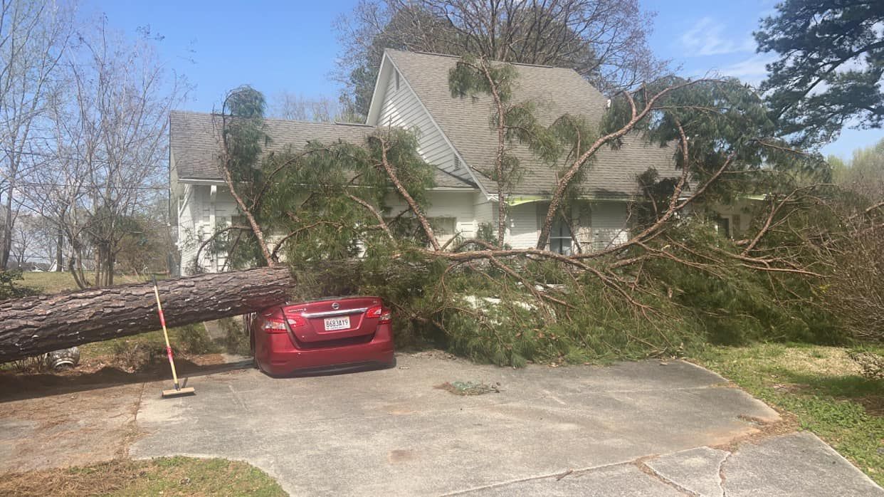 a red car is parked in front of a house with a tree fallen on it