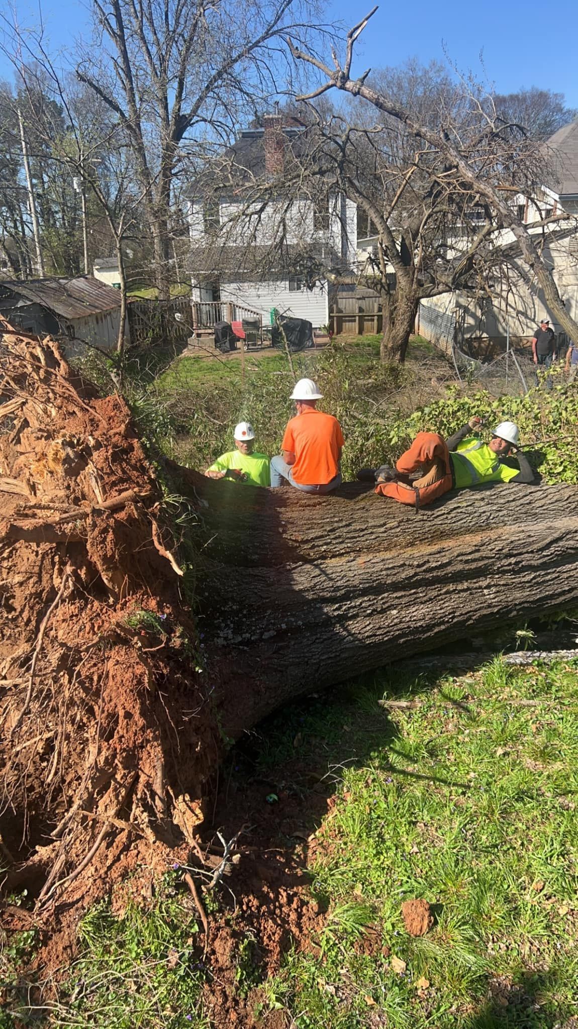 a group of men are sitting on top of a fallen tree