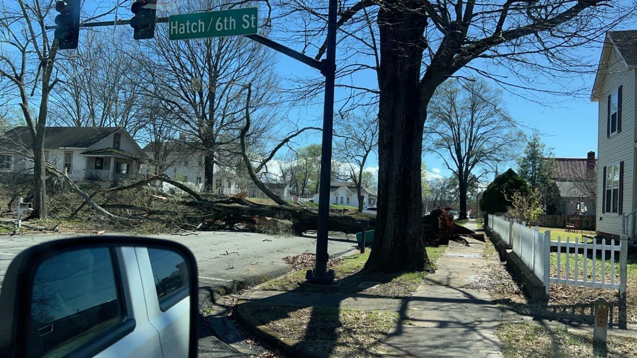 a car is driving down a street with a tree on the side of the road