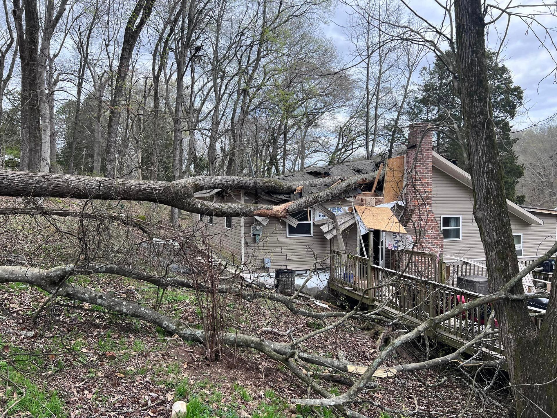 a tree has fallen on a house in the woods