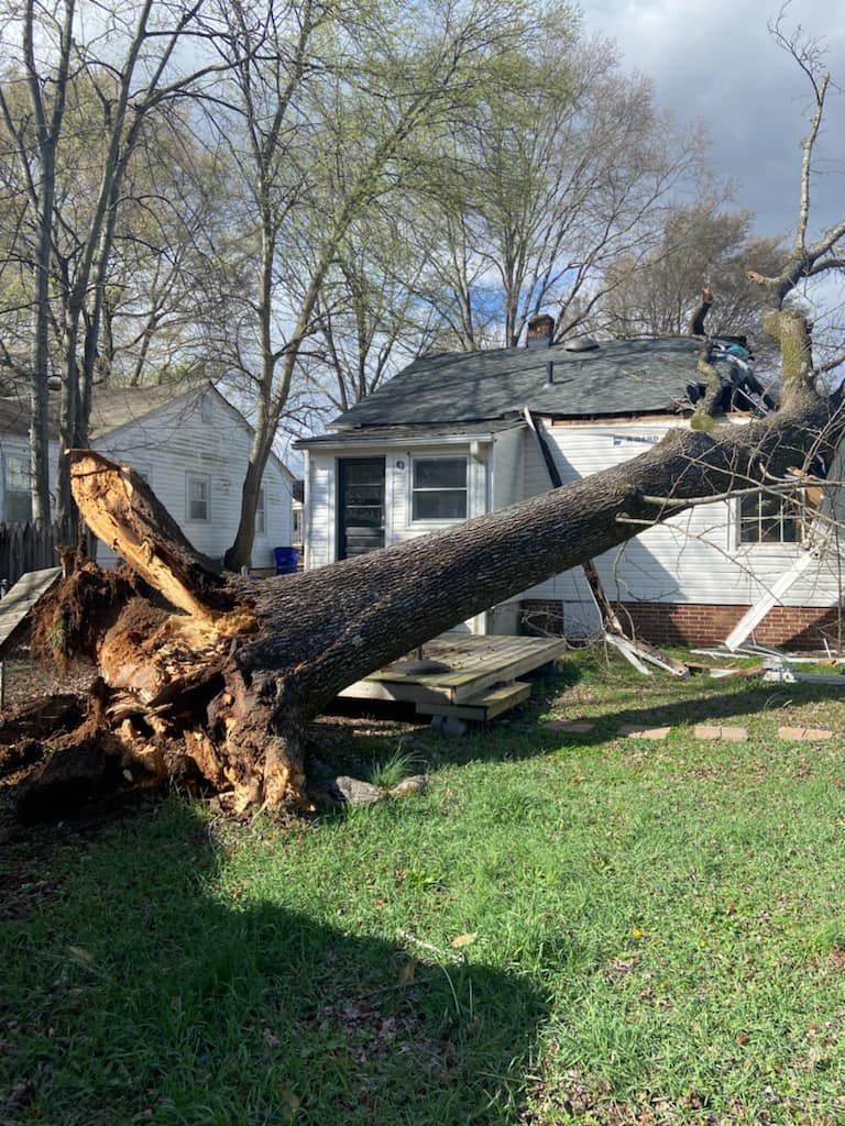 a large tree stump is laying in the grass in front of a house