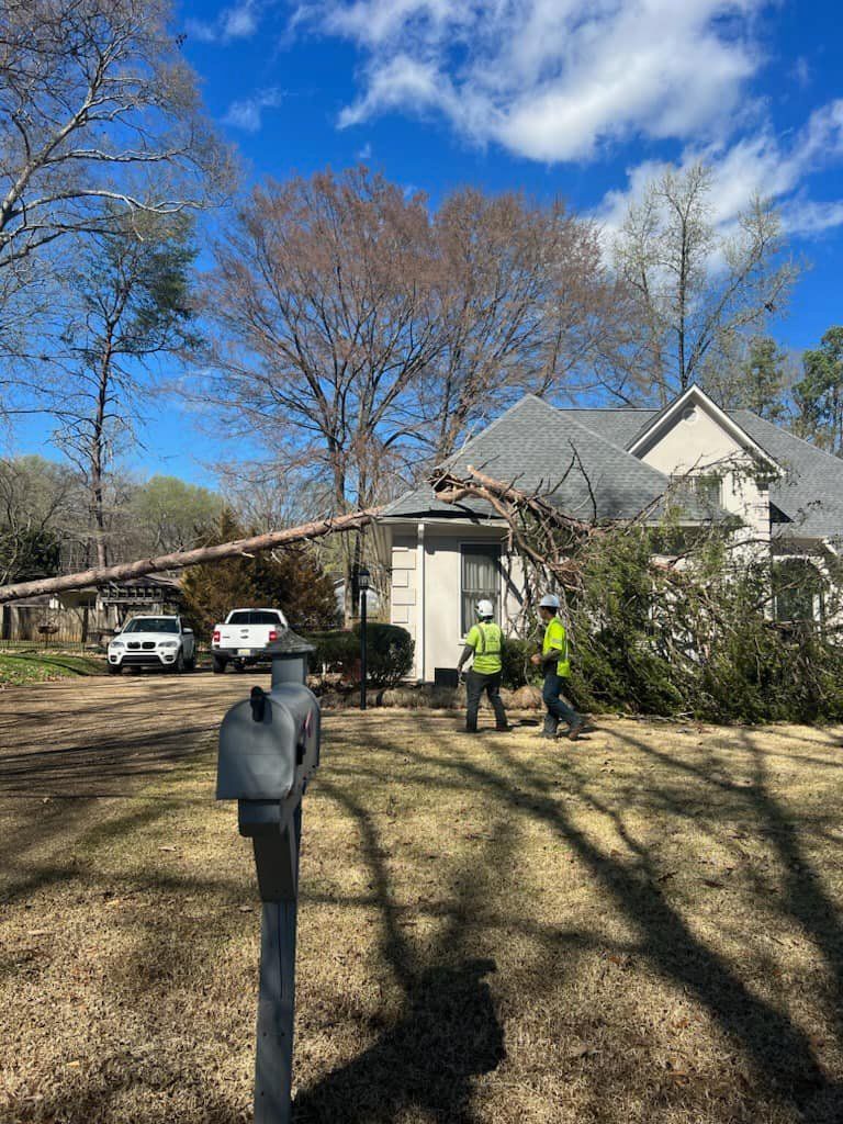 two men are standing in front of a house with a tree fallen on it